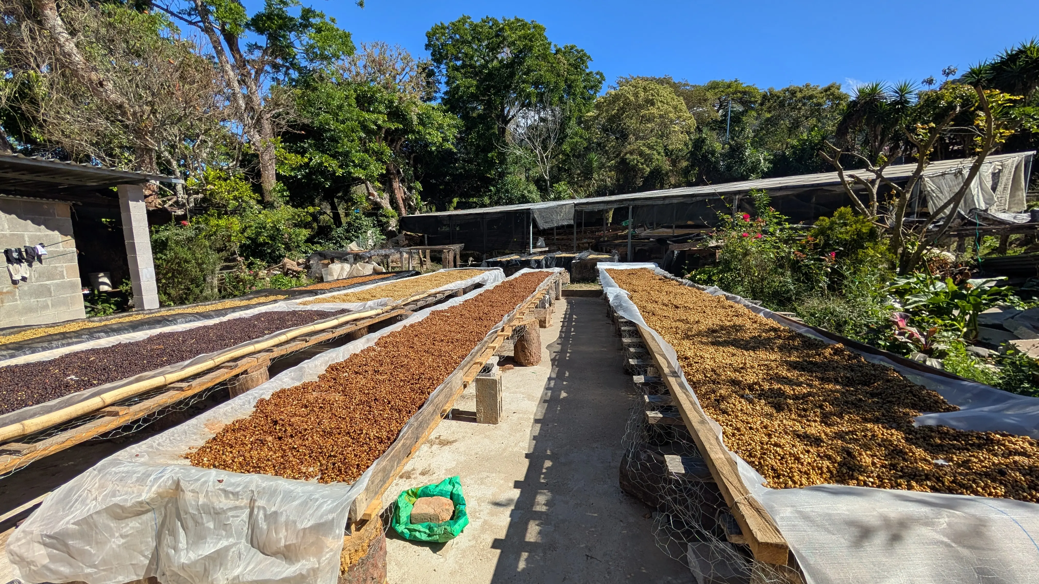 Finca Caporal